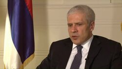 CLEAN: Serbia's Tadic pushes for EU talks following Mladic arrest News Clip