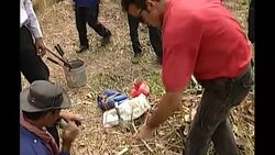 Land mine being de-activated News Clip