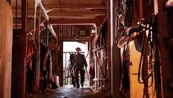 DS Cowboy leading his horse into the stable Stock Footage