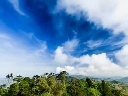Sky and tropical forest Stock Footage
