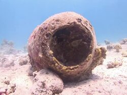 Broken pottery and other broken artifacts litter a sandy seabed. Stock Footage