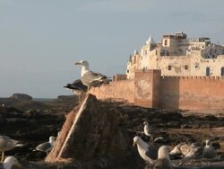 Essaouira Morocco HD video Stock Footage