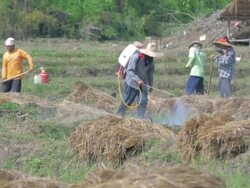 Farmers prepare the land for planting and spraying pesticides Stock Footage