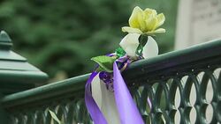 Grave of suffragette Emily Wilding Davison in Morpeth News Clip