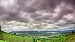Field Of Corn in the morning Stock Footage
