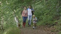 Family out for a walk Stock Footage