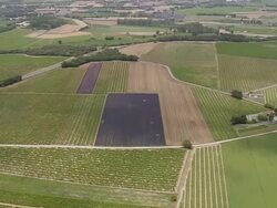 WS AERIAL ZI Shot of Lavender fields and vineyards / Rhone Alpes, France Stock Footage