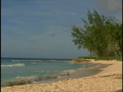 Accra Beach, Barbados - MS Side angled view, waves lapping white sandy beach, lined by palm trees, blue sky Stock Footage