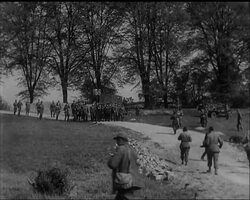 THE LINK UP - News Clip