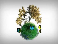 Little Planet And Tree Stock Footage