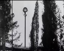 Palestine: News Clip