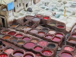 Local manual workers at the Leather Tanneries, Fez, Morocco, Africa Stock Footage
