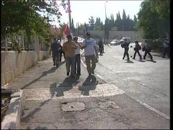 US Congressman Tom Lantos on Israel/Lebanon, anti-war demo at PM's office News Clip