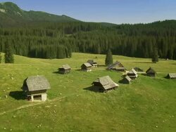 HD: Aerial Shot The Plateau Of Pokljuka Stock Footage