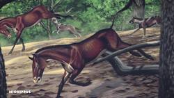 How Horses Took Over North America (Twice) Instructional Video