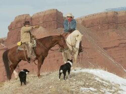 LA Cowboy and cowgirl on horseback stop riding on hill top with dogs and red rocks behind / Shell, Wyoming, United States Stock Footage