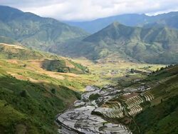 terraced rice field in Tule Village Stock Footage