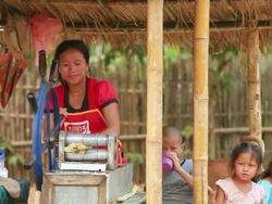 MS Woman under bamboo canopy putting sugarcane stalks in large blue wheel for pressing /  Vang Vieng, Vientiane, Laos Stock Footage