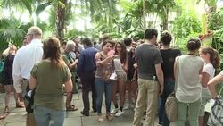 CLEAN : Rare corpse flower blooms again in New York after 80 years News Clip