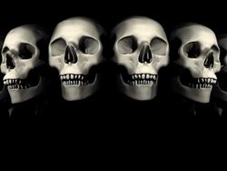 Halloween Skulls - Loop Stock Footage