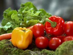 HD: Fresh vegetable Stock Footage