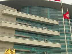 Tilt down Golden Bauhinia square Stock Footage