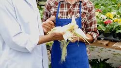African American customer shops for produce at a farmer's market Stock Footage