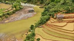 terraced rice field in Mu Chang Chai, Vietnam Stock Footage