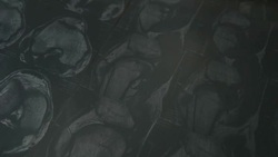 Doctor reading MRI film result Stock Footage