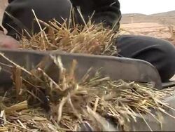 Changing face of China, AP focus on cave dwellers trying to get out of poverty News Clip