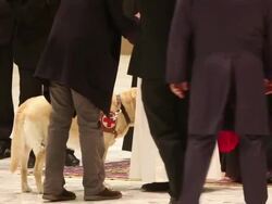 B-ROLL - Pope Francis Holds An Audience With Journalists And The Media at Hall Paul VI on March 16, 2013 in Vatican City, Vatican. (Footage by Giulio Origlia/Getty Images) Stock Footage