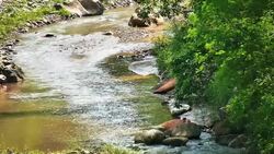 Stream of flowing River Stock Footage