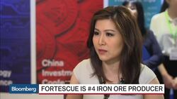 Fortescue's Power on Steel, China, Vale News Clip