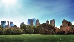 Central park, New York Stock Footage