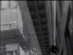 New York Provides The Dizziest Job News Clip