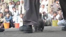 VOICED: Fighting season for animals peaks in Afgha News Clip