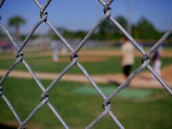 BASEBALL GAME BACKGROUND Stock Footage