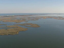   WS AERIAL View of landscape / North Carolina, United States Stock Footage