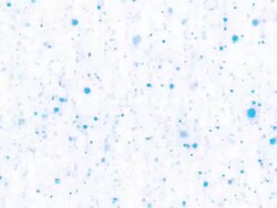 Blue Glitter On White Stock Footage