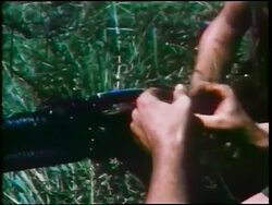 1960s close up soldiers' hands loading ammunition into M-60 machine gun in grass / Vietnam War/documentary Stock Footage
