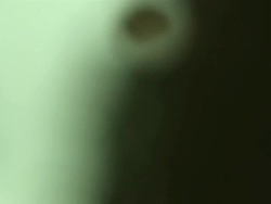 Seeds fall through frame Stock Footage