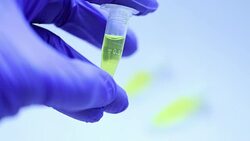 Scientist looking at plants in test tube in laboratory, Slow motion Stock Footage