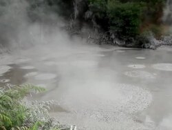 MS Shot of Rotorua gush springs / Rotorua, New Zealand Stock Footage