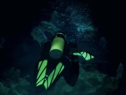 Diving 1 Stock Footage