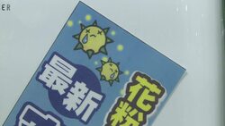 VOICED : Spring in Japan: beautiful blossoms and hayfever misery News Clip