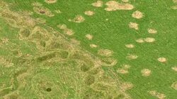 Aerials of Newfoundland Memorial Park, Site of Somme Battlefield News Clip