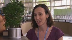 Delegates split on progress as climate conference passes halfway mark News Clip