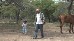 CLEAN: Soy fever drives deforestation in Argentina News Clip