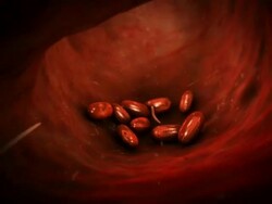 Close Up push-out - Parasitic worms hatch and travel through a bloodstream in a computer-generated animation. Stock Footage
