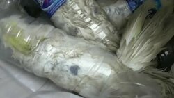 CLEAN : FILE: Illegal bird trade threatens Indonesian species: report News Clip